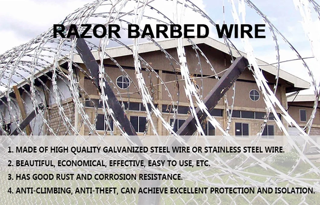 Concertina Wire Fence Dark Green Color Powder PVC Coated Razor Wire Razor Wire for Sale