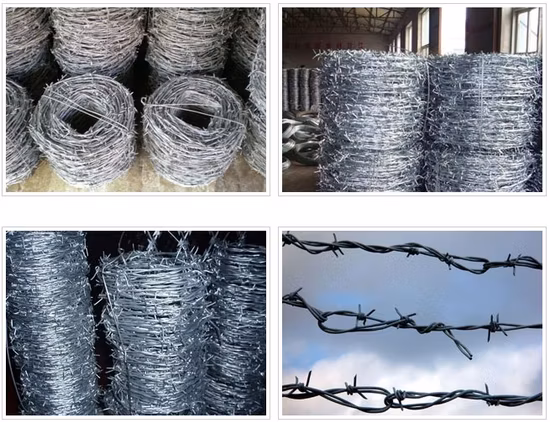 Galvanized /PVC Coated Barbed Wire Bwg 12/14/16