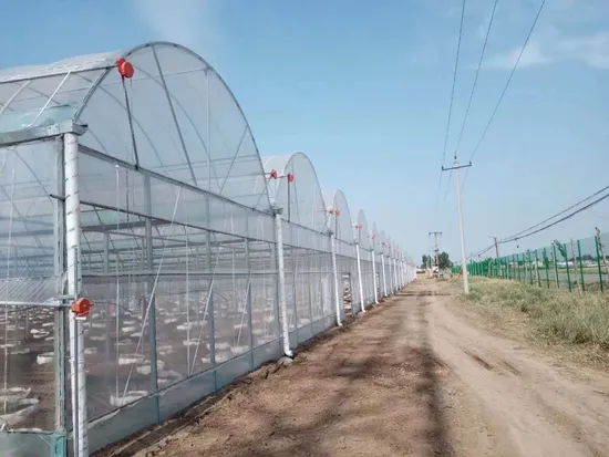 Hot Galvanized Steel Framework Multi-Span Polycarbonate (PC) Sheet Greenhouse