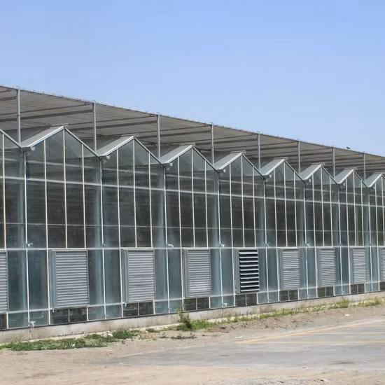 Hot Galvanized Steel Framework Multi-Span Polycarbonate (PC) Sheet Greenhouse