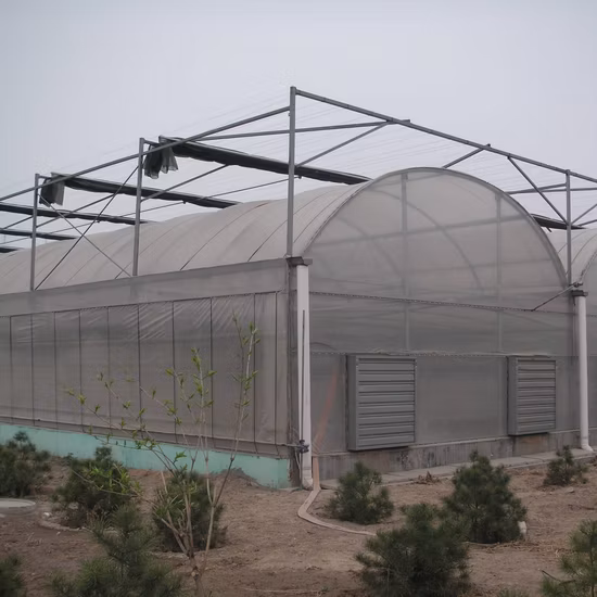 Hot Galvanized Steel Framework Multi-Span Polycarbonate (PC) Sheet Greenhouse