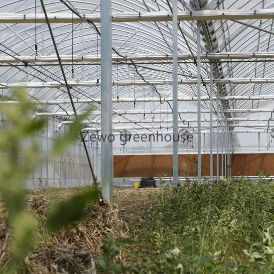 Hot Galvanized Steel Framework Multi-Span Polycarbonate (PC) Sheet Greenhouse