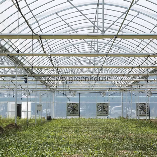 Hot Galvanized Steel Framework Multi-Span Polycarbonate (PC) Sheet Greenhouse