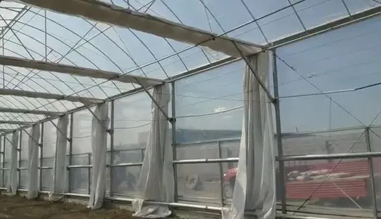 Trinog China made multispan hydroponics plastic film agricultural greenhouse for commercial farm