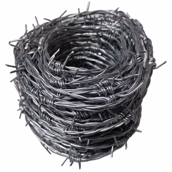 Hot Dipped Galvanized/Electro Galvanized /PVC Coated Barbed Wire with Bwg 12/14/16
