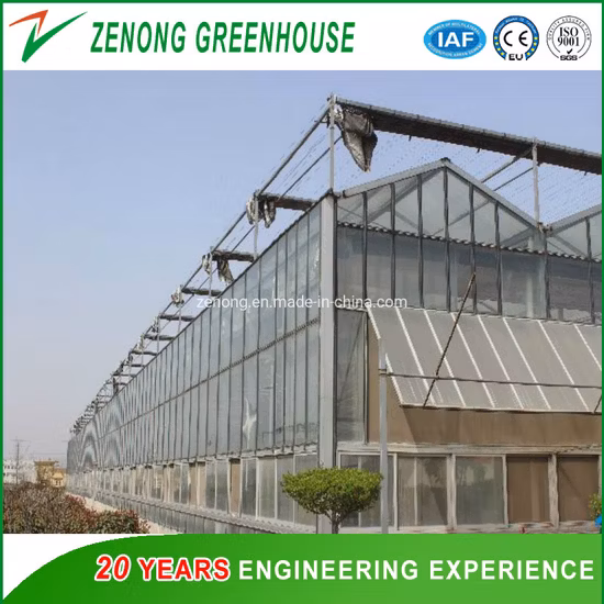 PC Sheet Cover Material and Commercial Vegetables Seeds Vertical Farming Greenhouse