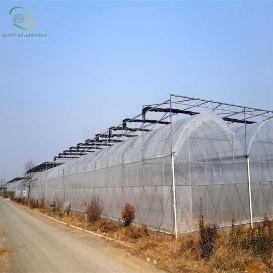 Hot Sale Multi Span Plastic Film Greenhouse for Planting