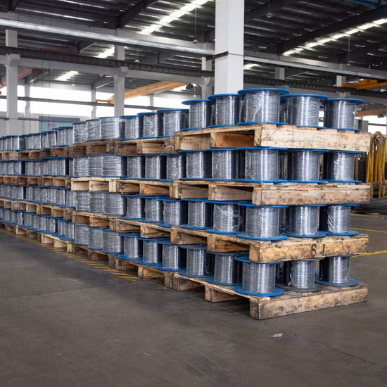 High Carbon Galvanized Spring Steel Wire